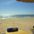 HAMMAMET 3