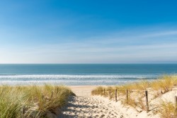 adobestock_190250364
