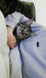 IMG_20191113_123822_431