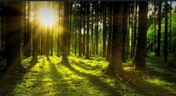 Screenshot_20240220_092640