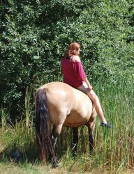 rencontres amicales