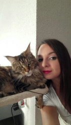 nouvelles rencontres