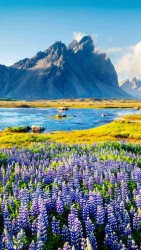 magazine-unlock-01-2.3.2232-_9F9302CB55440191885EFCB2CA5A8A91