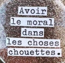 FB_IMG_1679070432264