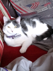 2023-04-25_1682430400641