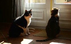 Amies pour sortir et bouger