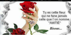 Amitié