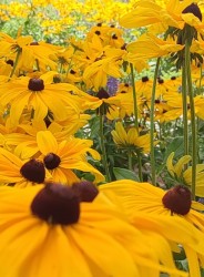 IMG_20220626_154419