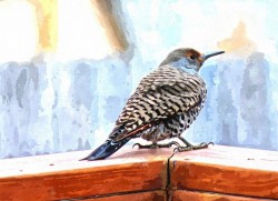 flicker-1980172_1280