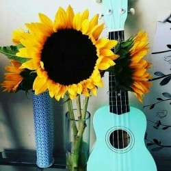 1549000292146