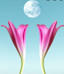 E291723C-3828-4AB1-806E-D951A1D08433