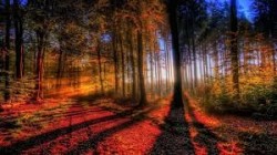 images (6)