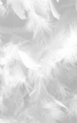 2CEFAA28-629E-4C0D-94C2-42EAE479F125