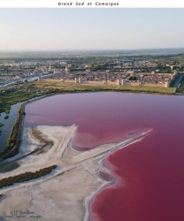 FB_IMG_1693070864236