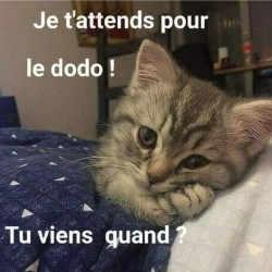 FB_IMG_1698357199191
