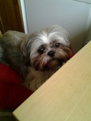 recherche une amitié sincère