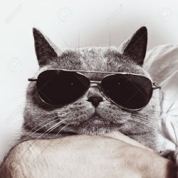 Coucou les filles