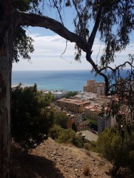 IMG-20190726-WA0004