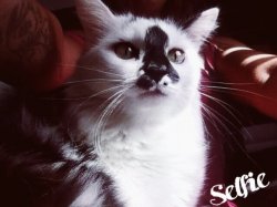 Copine pour partager nos loisirs ensemble