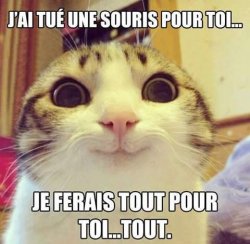 recherche copines !