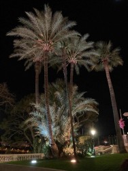 IMG-20220411-WA0007