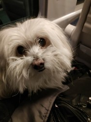 IMG_20201210_083522