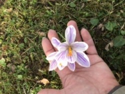 B1DAF823-2736-4C3A-899A-B7670C766985