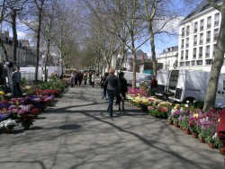 MARCHE AUX FLEURS AVRIL 2006 (2)