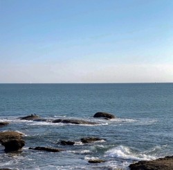 Image (1)