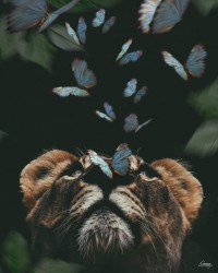 E5FB1420-2898-4EF1-AA12-E357B716BEAB