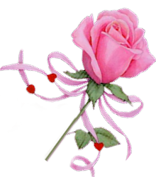 323289rose