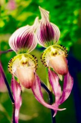 937babc936091625f1016e64a1445167