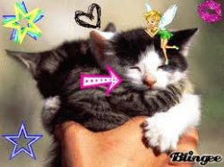 Bonne année 2013 à toutes!!