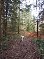 received_755657146286093