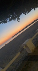 38A07556-130A-4FE5-A5FD-BD24E6ABA430